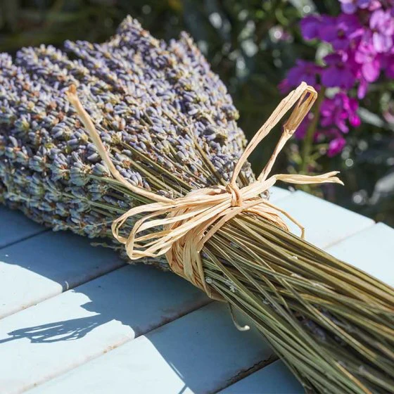 100g Raffia Palm Fibre - Image 2