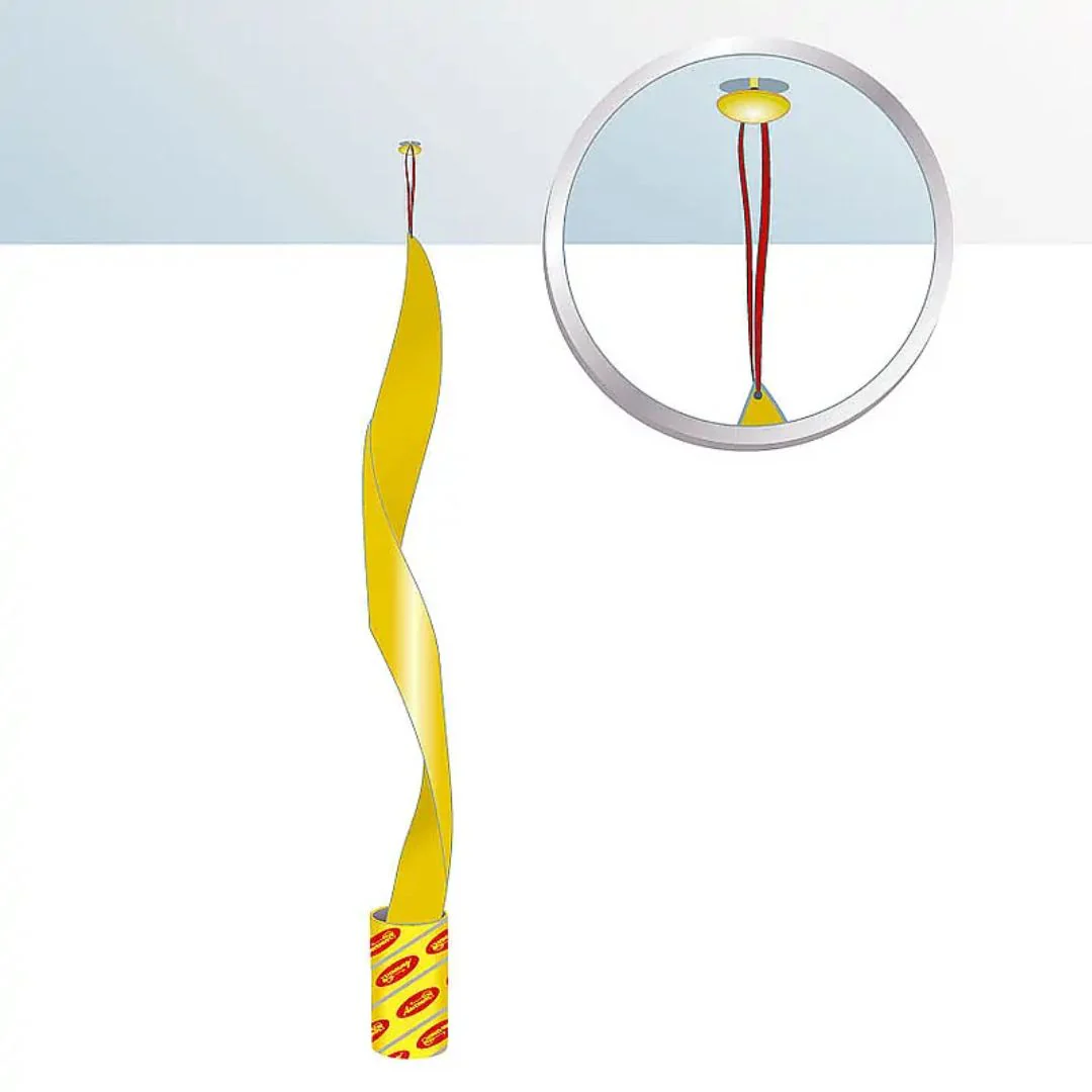 Aeroxon Fly Catchers - Image 3