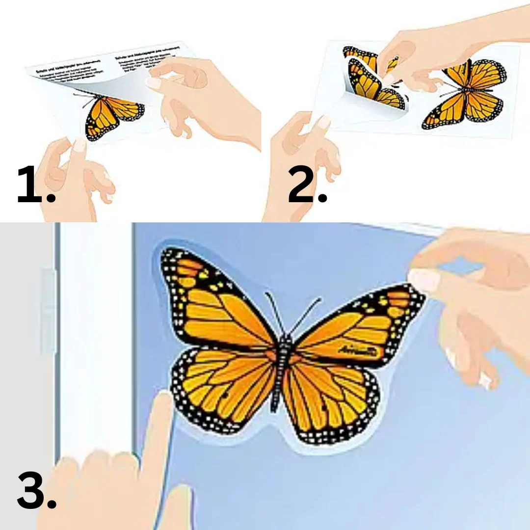 Aeroxon Window Fly Killer Stickers - Image 3