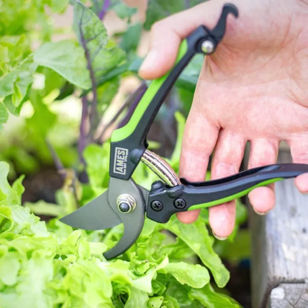 Ames Bypass Pruner - Image 3