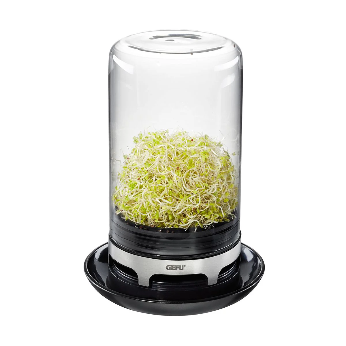 Gefu Bivita Sprouting Jar - Image 3