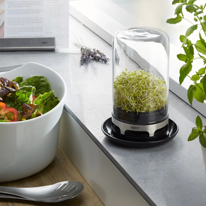 Gefu Bivita Sprouting Jar - Image 4