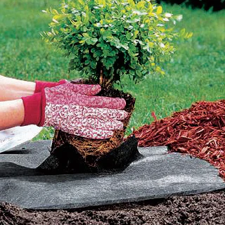 Classic Weed Control Fabric 20M X 1M Roll