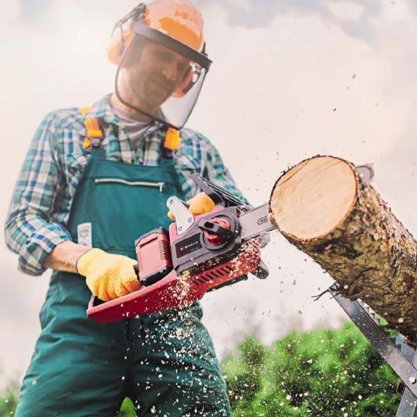 Einhell 36V Chainsaw - No Battery - Image 2