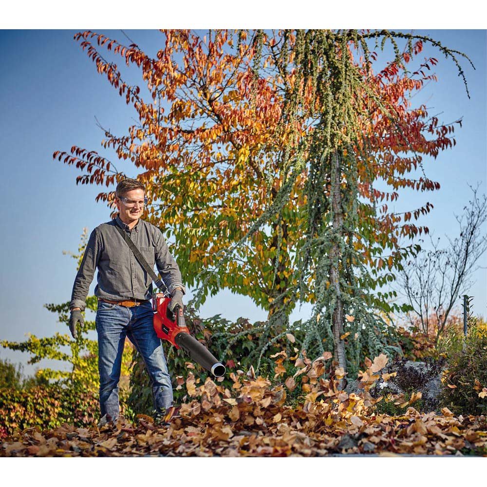 Einhell 36V Leaf Blower - No Battery - Image 2