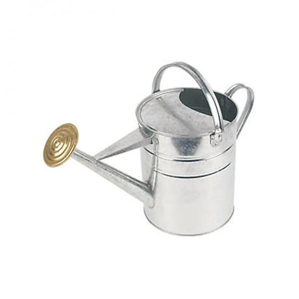 Galvanised Watering Can - 2 Gallon