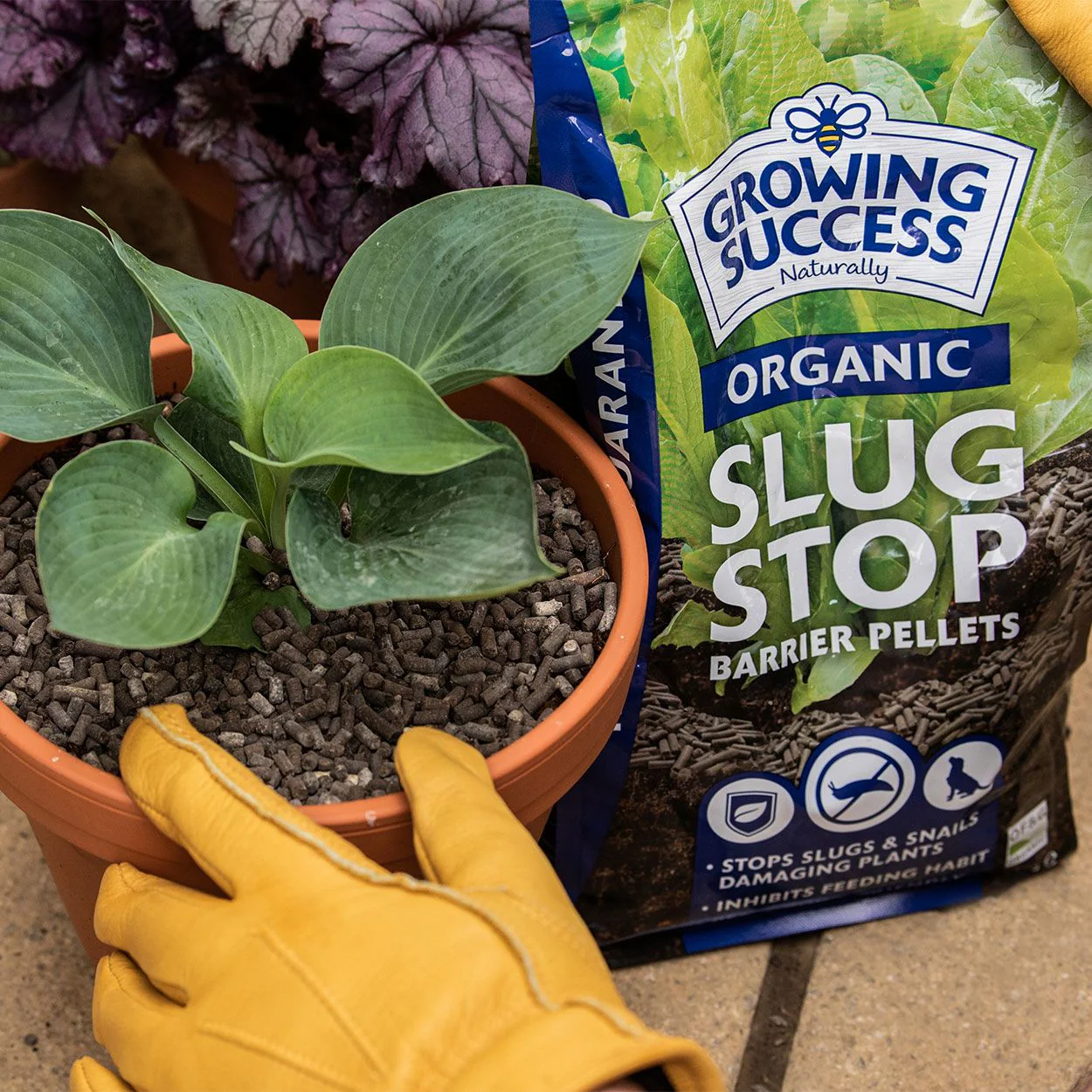 Growing Success Organic Slug Stop Pellets 2.25kg - Image 2