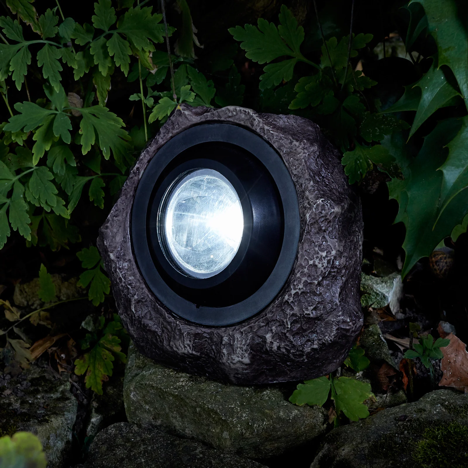 Jumbo 25L Rock Light