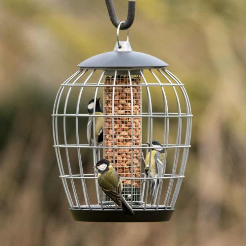 Love Nature Premium Peanuts Bird Food 2.5kg – Year-Round Energy for Garden Birds - Image 2