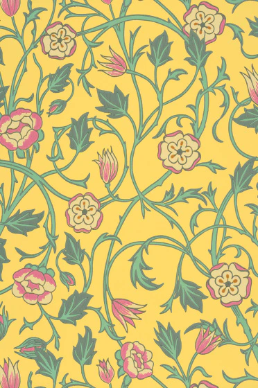 May's Tulip - Indian Yellow