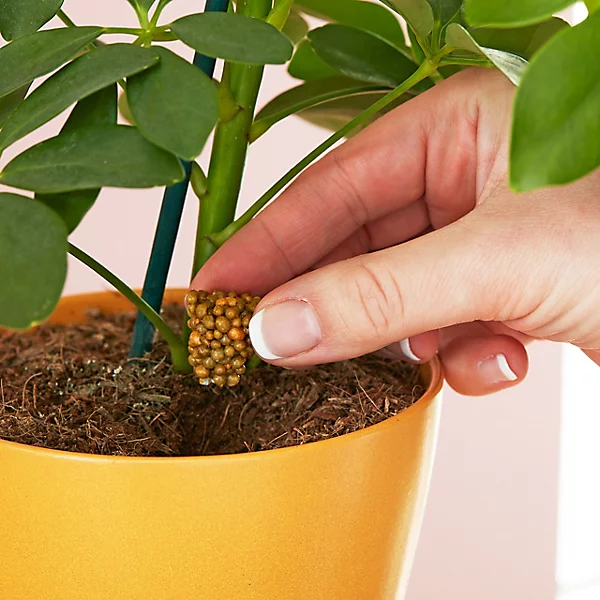Miracle Grow Continuous Release Plant Food - Image 4