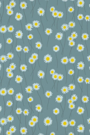 Moon Daisies - Etruria