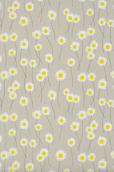 Moon Daisies - Slaked Lime