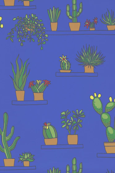 Mr Straw's Greenhouse - Mambo