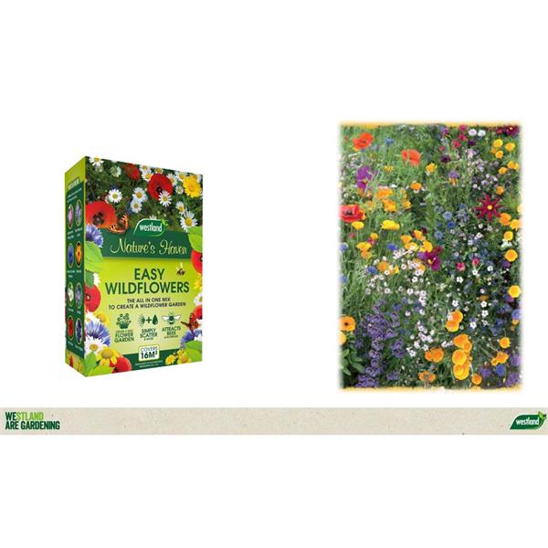 Natures Haven Easy Wildflower Mix Box - Image 2