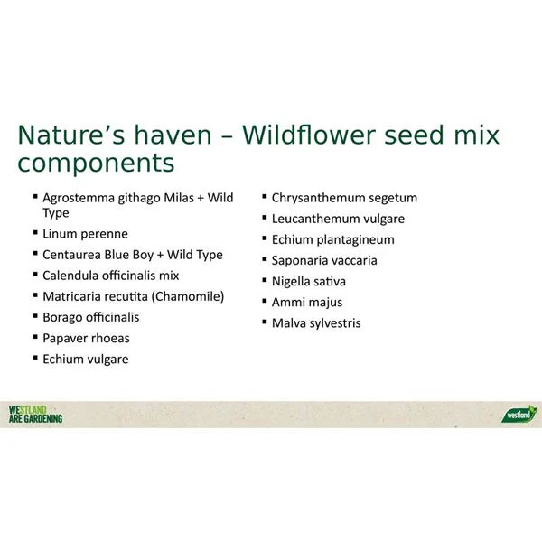 Natures Haven Easy Wildflower Mix Box - Image 3