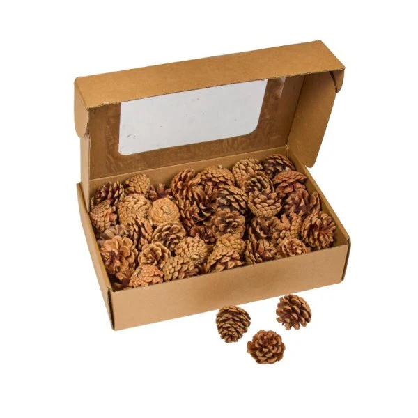 Set of Decorative Pine Cones – 600g Natural Autumn Filler - Image 2