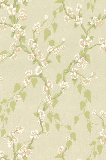 Sakura - Pomme