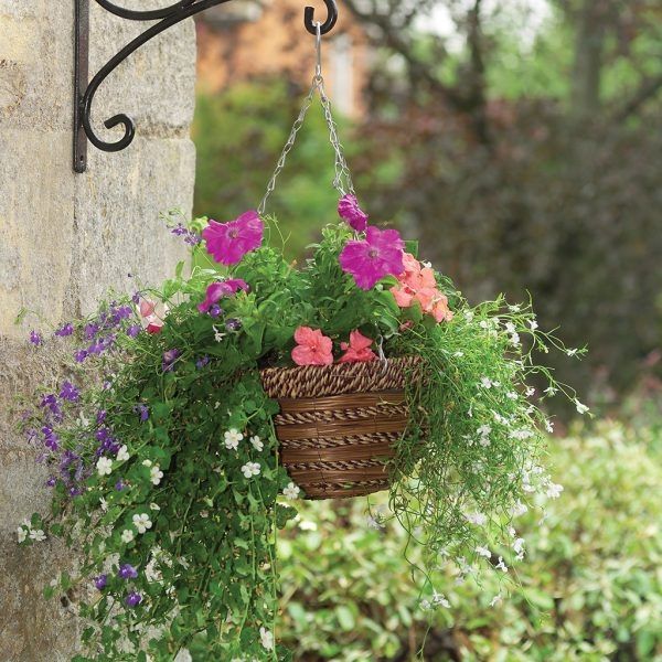 35 cm /14" Sisal Rope & Fern Hanging Basket - Image 2