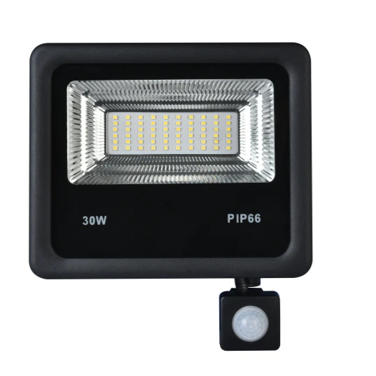 Starbrite Slim Auriga LED Floodlight 30W – Sensor Black