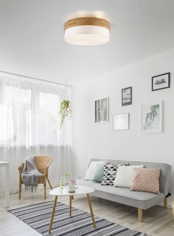 Trio Lighting Seasons Ceiling Light - Image 4