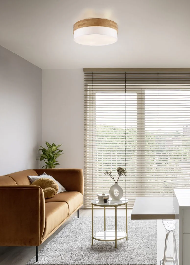Trio Lighting Seasons Ceiling Light - Image 5