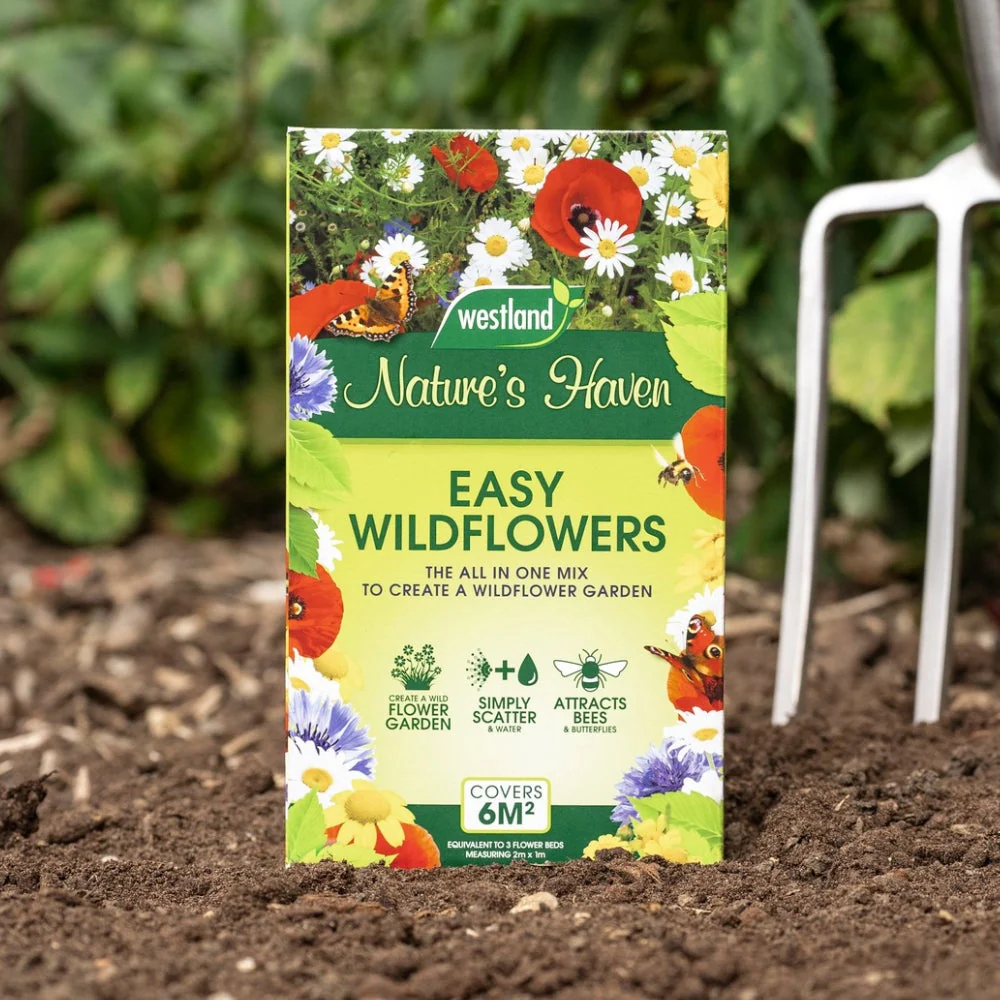 Unwins Easy Wildflower 1.2kg Box