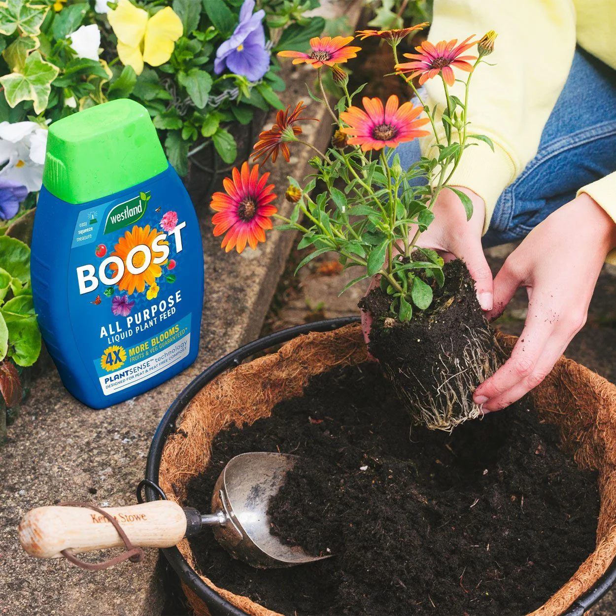 Westland Boost All Purpose Liquid Plant Feed - Image 2