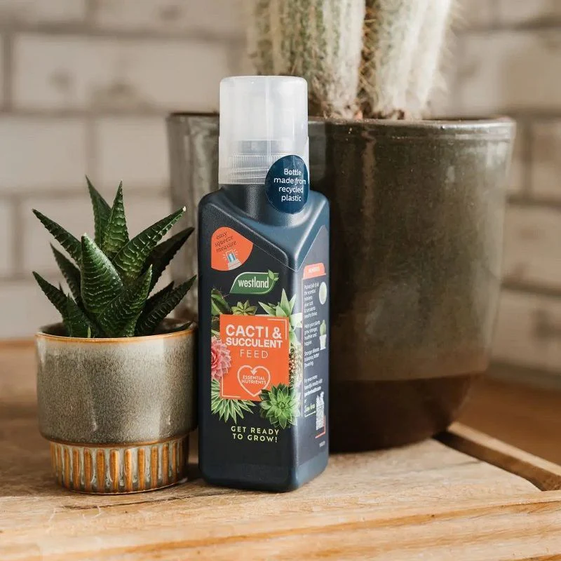Westland Cacti & Succulent Feed Concentrate - Image 2