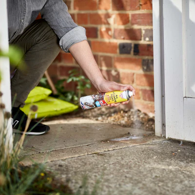 Zero In Ant & Crawling Insect Killer Aerosol 300ml - Image 2